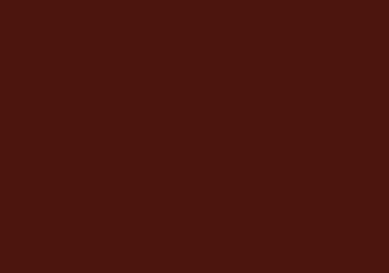 Chocolate Brownie 0875 Colore Fundermax