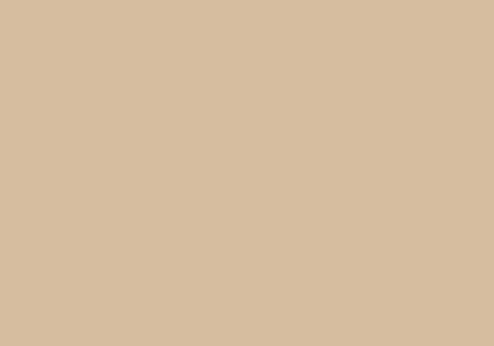 Hygienic Beige 0627 Colore Fundermax