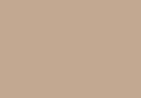Cappuccino 0319 Colore Fundermax